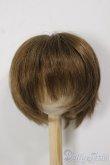 画像1: 8-9inch/ウィッグ/インチ　BJD　MJD　ドール用 A-25-12-17-149-NY-ZA (1)