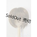 画像: 8-9inch/ウィッグ/インチ　BJD　MJD　ドール用 A-25-12-17-149-NY-ZA