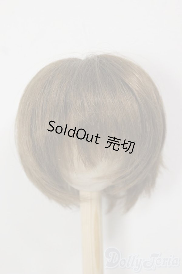 画像1: 8-9inch/ウィッグ/インチ　BJD　MJD　ドール用 A-25-12-17-149-NY-ZA (1)