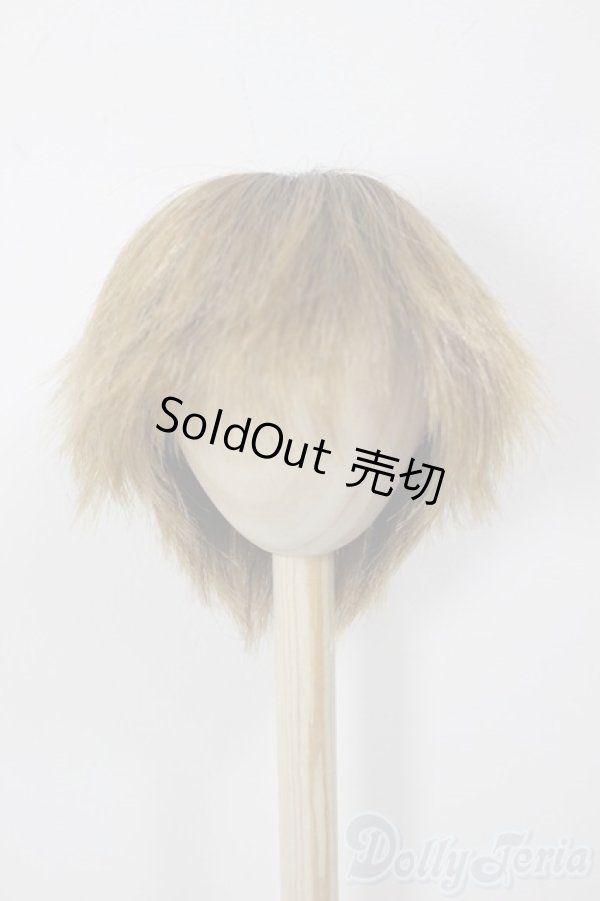 画像1: 8-9inch/ウィッグ/インチ　BJD　MJD　ドール用 A-25-12-17-146-NY-ZA (1)