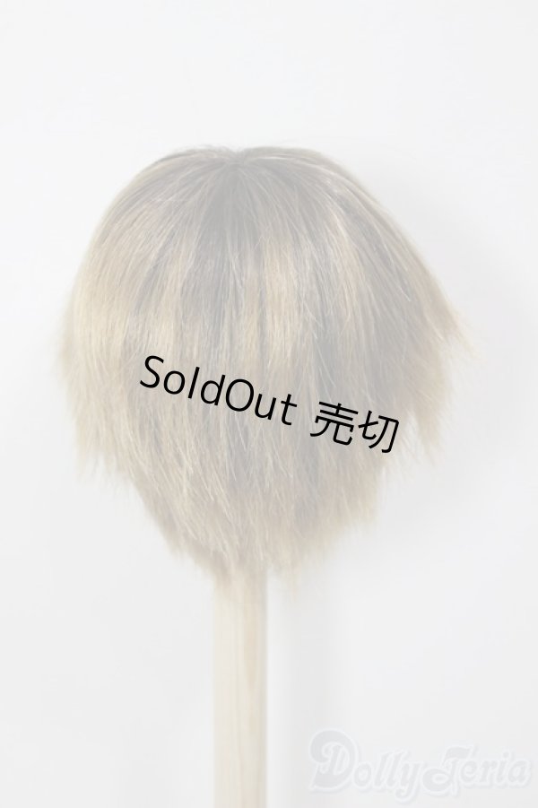 画像2: 8-9inch/ウィッグ/インチ　BJD　MJD　ドール用 A-25-12-17-146-NY-ZA (2)