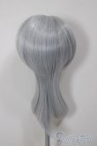 画像2: 8-9inch/ウィッグ/インチ　BJD　MJD　ドール用 A-25-12-17-142-NY-ZA (2)