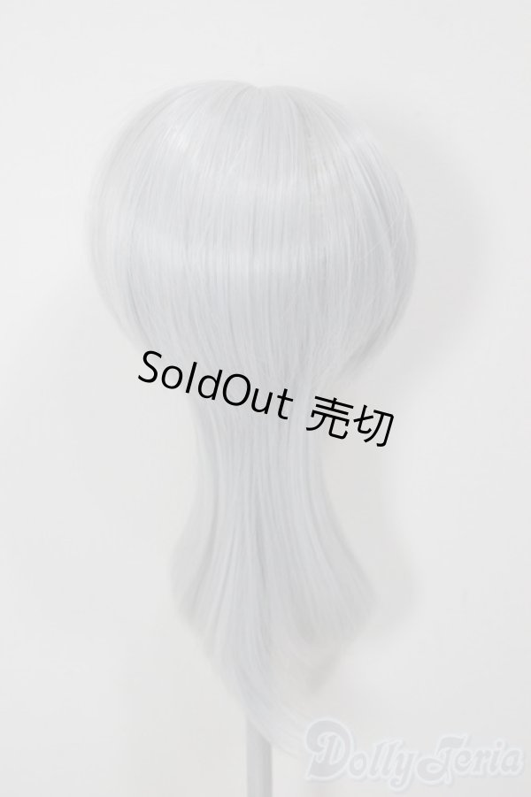 画像2: 8-9inch/ウィッグ/インチ　BJD　MJD　ドール用 A-25-12-17-142-NY-ZA (2)