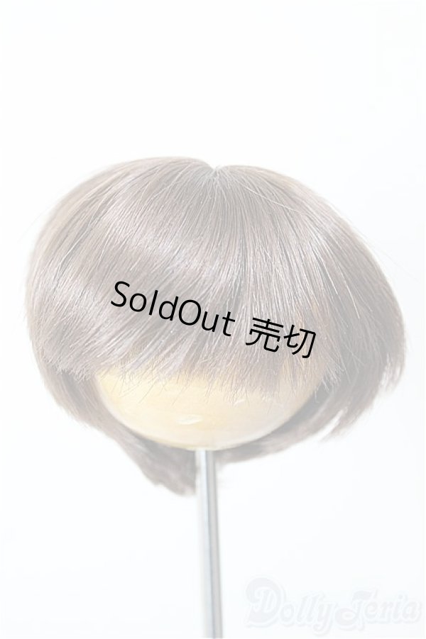 画像1: 6-7inch/ウィッグ/インチ　BJD　MJD　ドール用 A-25-12-17-258-NY-ZA (1)