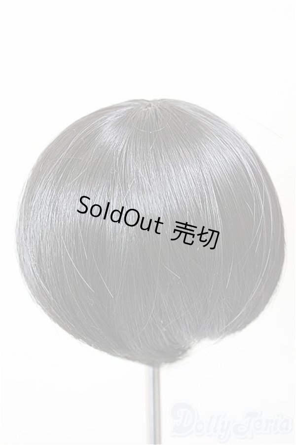 画像2: 6-7inch/ウィッグ/インチ　BJD　MJD　ドール用 A-25-12-17-259-NY-ZA (2)