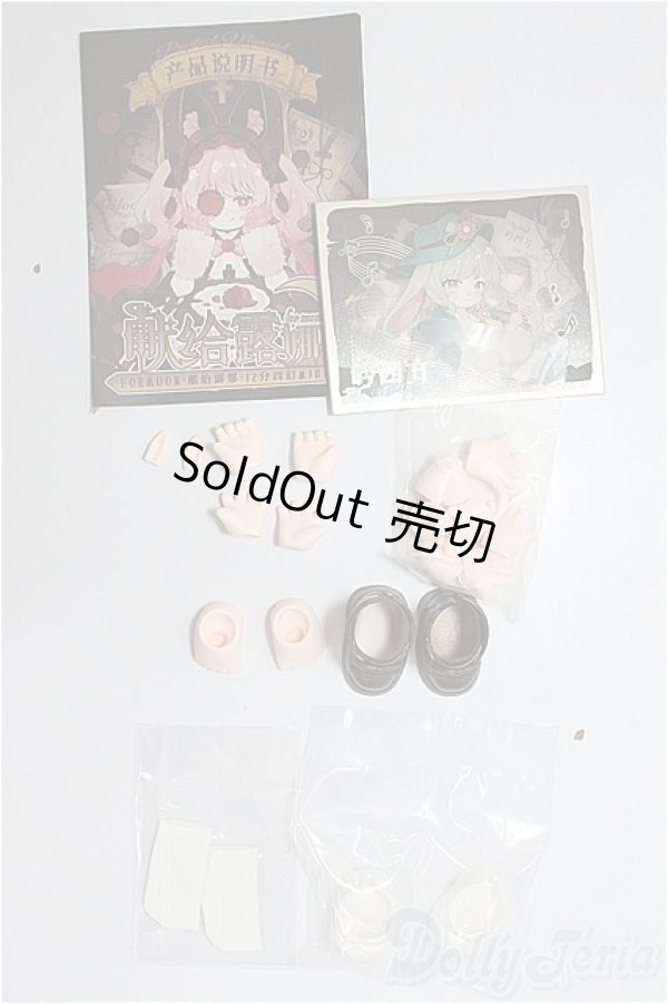 画像1: 合玩文化/ルナに捧ぐ　パーツ/ A-25-12-24-373-NY-ZA (1)