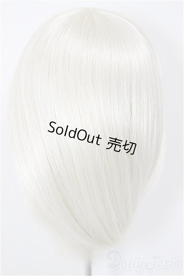 画像2: 7-8inch/ウィッグ/インチ　BJD　MJD　ドール用 A-26-1-4-250-NY-ZA (2)