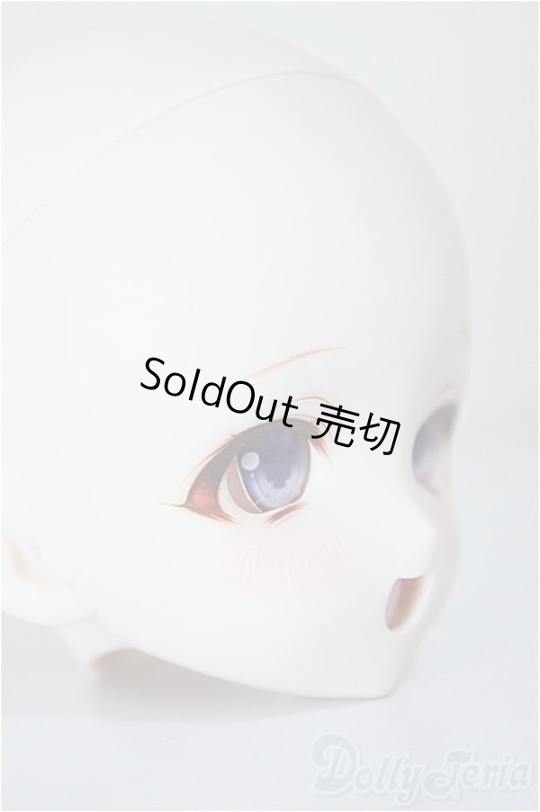 画像2: DD/DDH-10/カスタムヘッド/BJD　球体関節人形 A-25-12-24-154-NY-ZA (2)