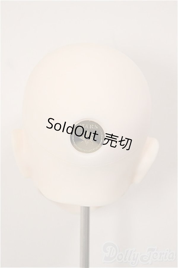 画像4: MARS　DOLL/Limited　RYU　type HEAD/BJD　球体関節人形 A-26-1-4-215-NY-ZA (4)