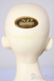 画像5: SD17男の子/キリコ/BJD　球体関節人形 A-25-12-24-101-NY-ZA (5)