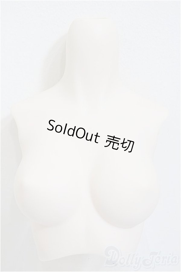 画像1: DD/上半身パーツ・M胸/0 A-25-12-17-340-NY-ZA (1)