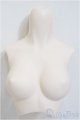 画像: DD/上半身パーツ・M胸/0 A-25-12-17-340-NY-ZA