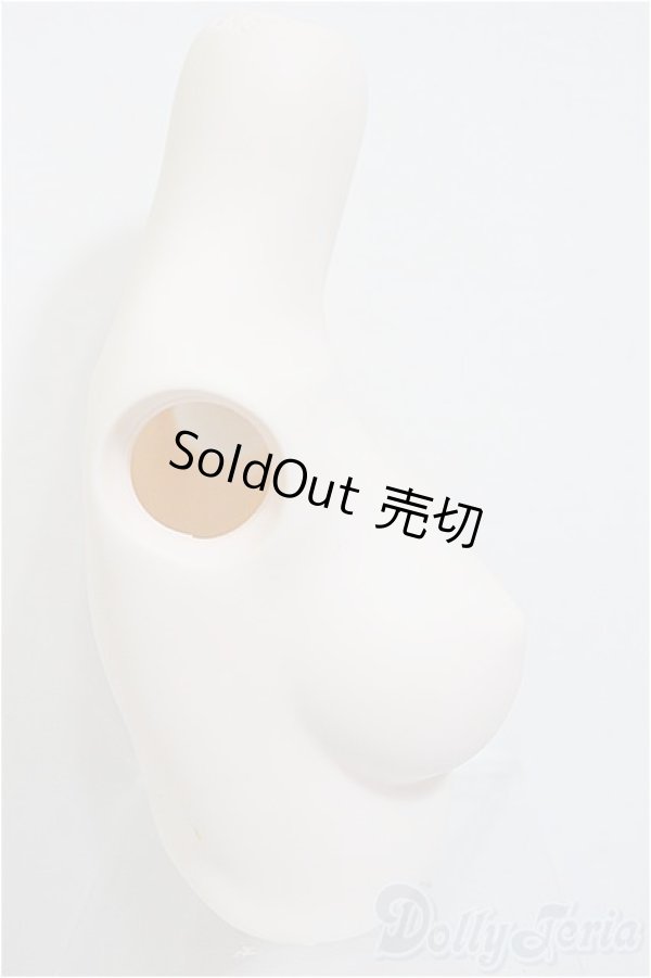 画像2: DD/上半身パーツ・M胸/0 A-25-12-17-340-NY-ZA (2)