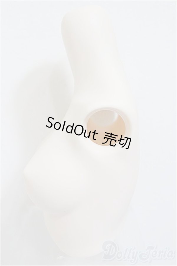 画像4: DD/上半身パーツ・M胸/0 A-25-12-17-340-NY-ZA (4)