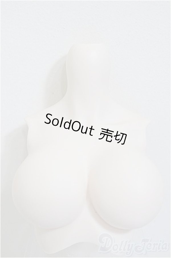 画像1: DDS/上半身パーツ・L胸 フラット/0 A-25-12-17-341-NY-ZA (1)