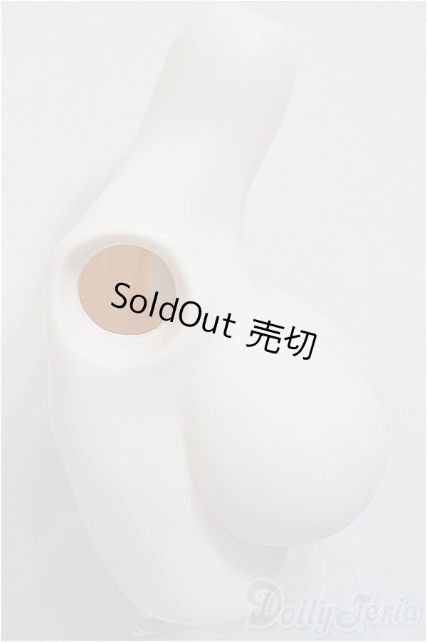 画像2: DDS/上半身パーツ・L胸 フラット/0 A-25-12-17-341-NY-ZA (2)