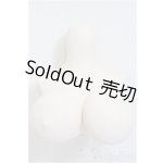 画像: DDdyIII-B-01/上半身パーツ-普通胸/0 A-25-12-17-339-NY-ZA