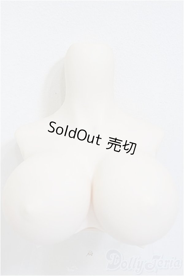 画像1: DDdyIII-B-01/上半身パーツ-普通胸/0 A-25-12-17-339-NY-ZA (1)