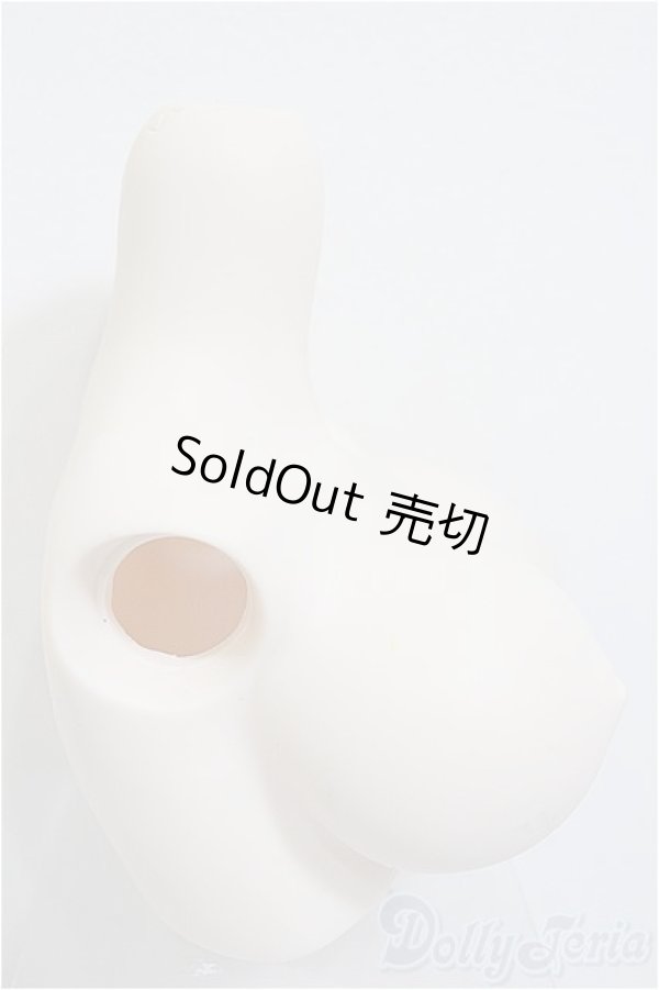 画像2: DDdyIII-B-01/上半身パーツ-普通胸/0 A-25-12-17-339-NY-ZA (2)