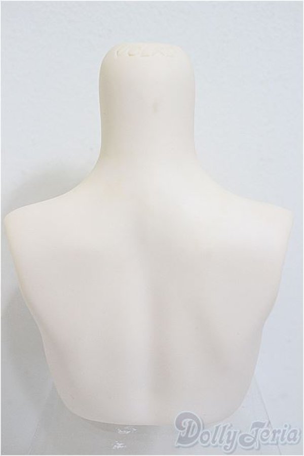 画像3: DDdyIII-B-01/上半身パーツ-普通胸/0 A-25-12-17-339-NY-ZA (3)