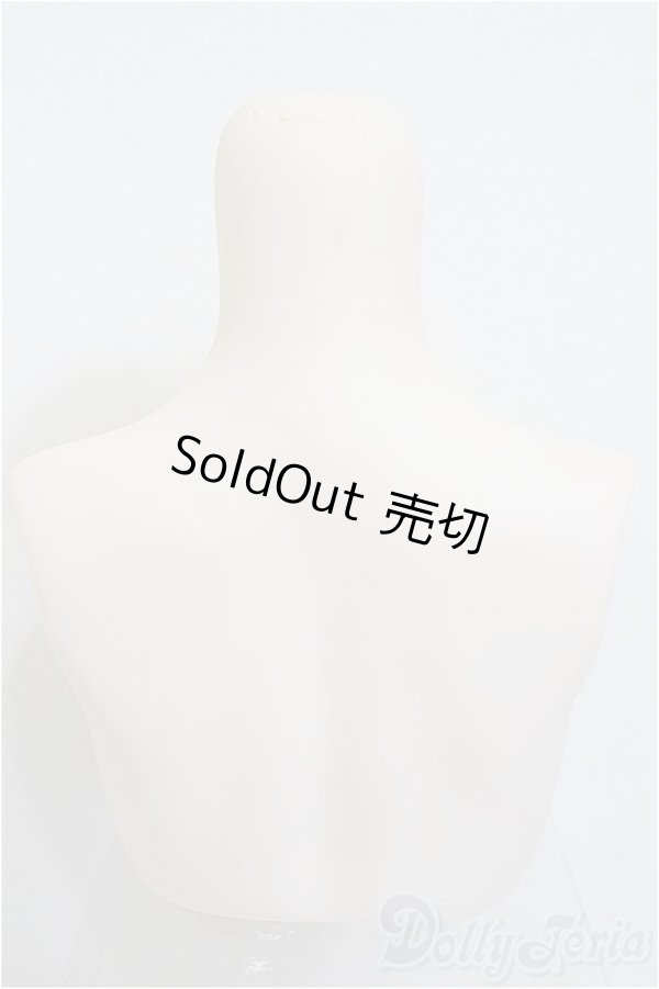 画像3: DDdyIII-B-01/上半身パーツ-普通胸/0 A-25-12-17-339-NY-ZA (3)