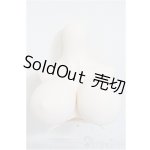 画像: DDdyIII-B-01/上半身パーツ-普通胸/0 A-25-12-17-338-NY-ZA