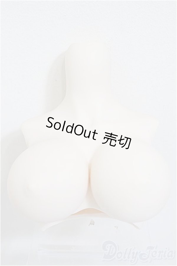 画像1: DDdyIII-B-01/上半身パーツ-普通胸/0 A-25-12-17-338-NY-ZA (1)