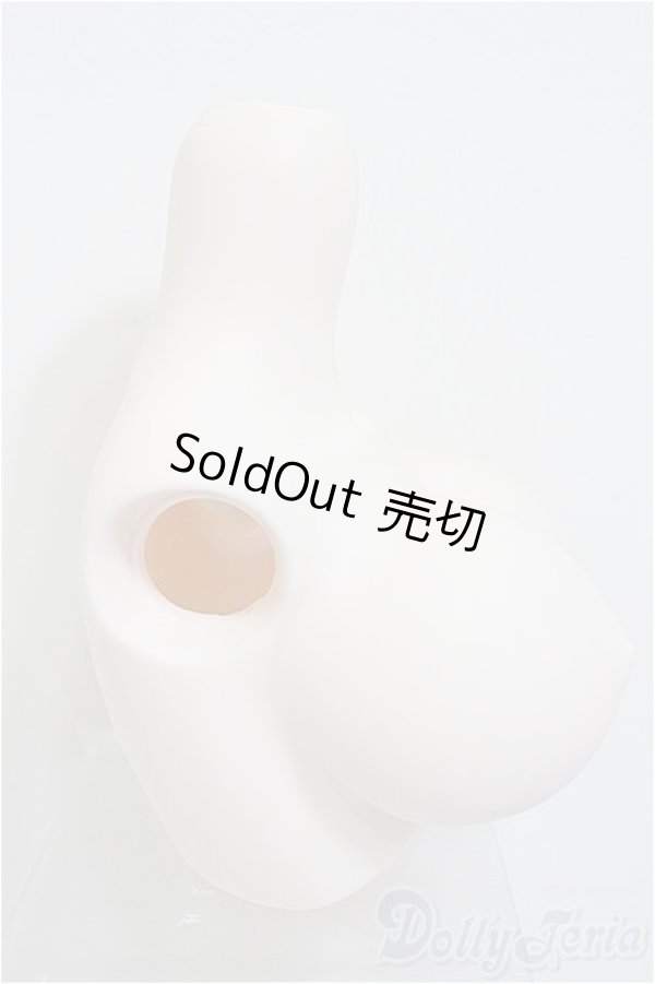 画像2: DDdyIII-B-01/上半身パーツ-普通胸/0 A-25-12-17-338-NY-ZA (2)