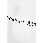 画像: MDDIII-B-01S-SW/上半身パーツ-S胸/0 A-25-12-17-342-NY-ZA