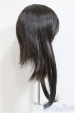 画像2: 9-10inch/ウィッグ/インチ　BJD　MJD　ドール用 A-25-12-17-337-NY-ZA (2)