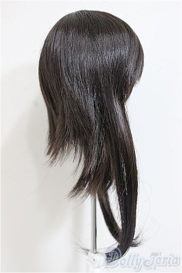 画像2: 9-10inch/ウィッグ/インチ　BJD　MJD　ドール用 A-25-12-17-337-NY-ZA (2)