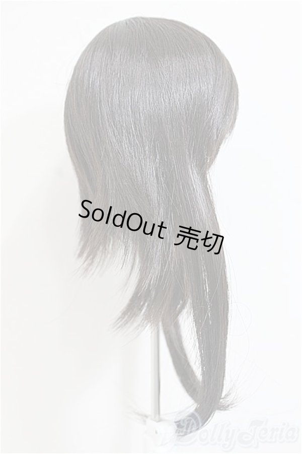 画像2: 9-10inch/ウィッグ/インチ　BJD　MJD　ドール用 A-25-12-17-337-NY-ZA (2)