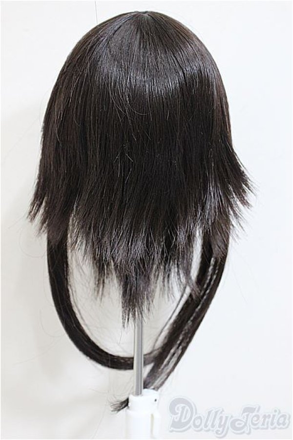 画像3: 9-10inch/ウィッグ/インチ　BJD　MJD　ドール用 A-25-12-17-337-NY-ZA (3)