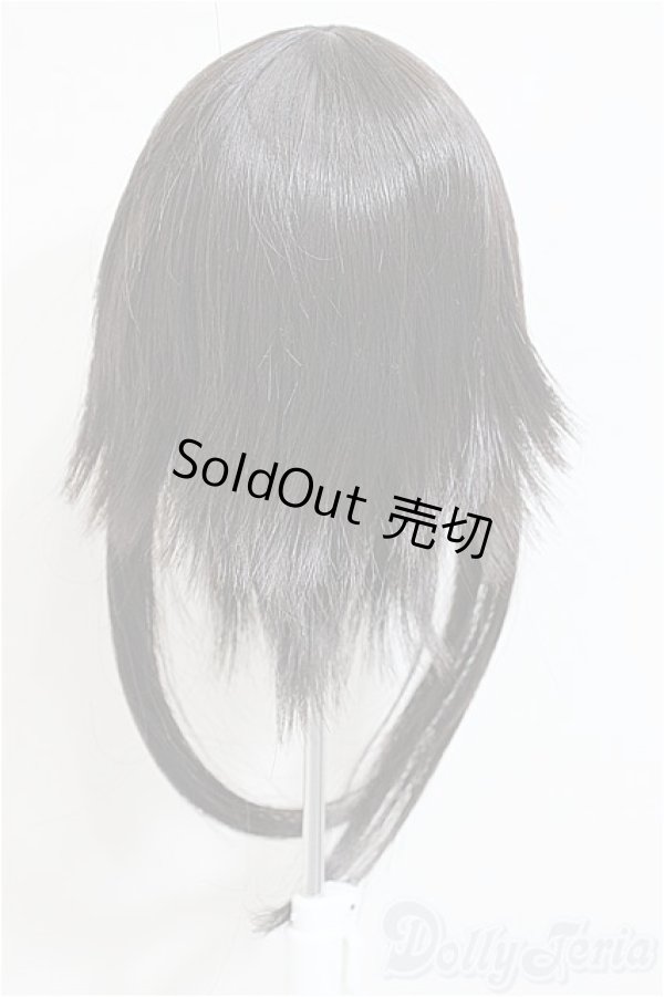 画像3: 9-10inch/ウィッグ/インチ　BJD　MJD　ドール用 A-25-12-17-337-NY-ZA (3)