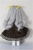 画像3: DOLLCE/ミニスウィーツドール：スノーバニラ/ A-25-12-24-258-NY-ZA (3)