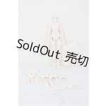 画像: 1/12サイズ/ボディ/ A-25-12-24-157-NY-ZA