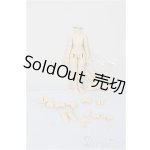 画像: 1/12サイズ/ボディ/ A-25-12-24-156-NY-ZA