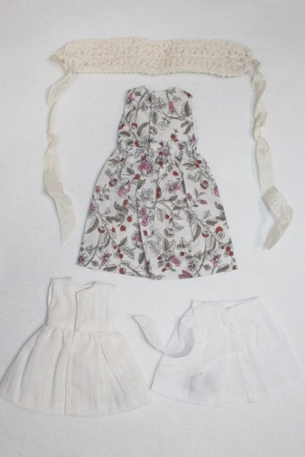 画像2: ネオブライス/OF:衣装/ファッションドール　衣装 A-26-01-14-046-NY-ZA (2)