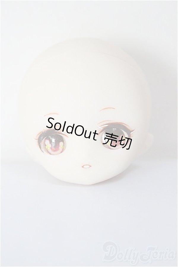 画像1: パラボックス/ヒカリ 着彩ヘッド/ A-25-12-24-371-NY-ZA (1)