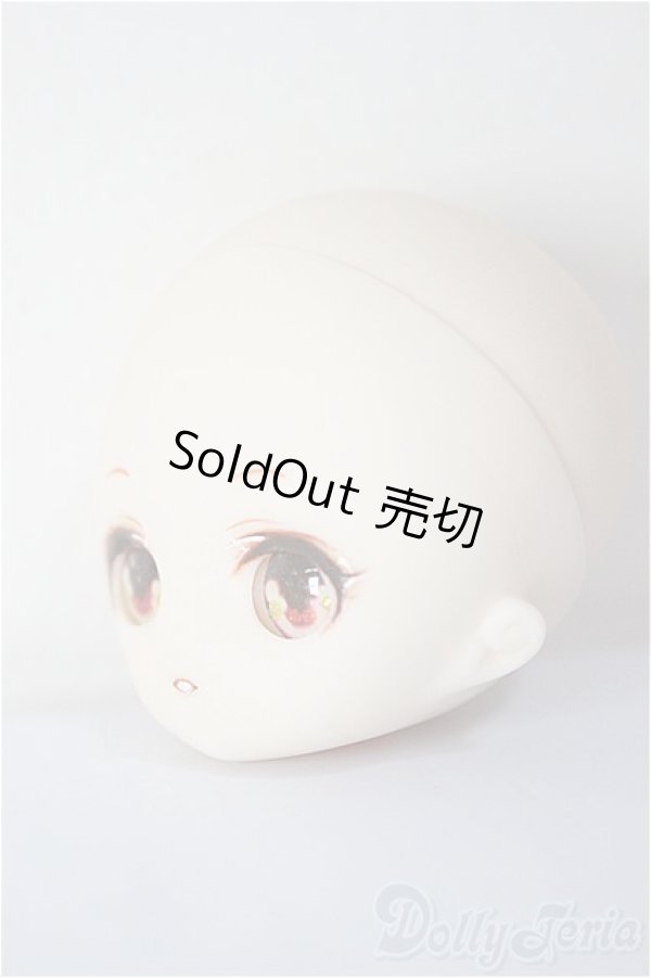 画像2: パラボックス/ヒカリ 着彩ヘッド/ A-25-12-24-371-NY-ZA (2)