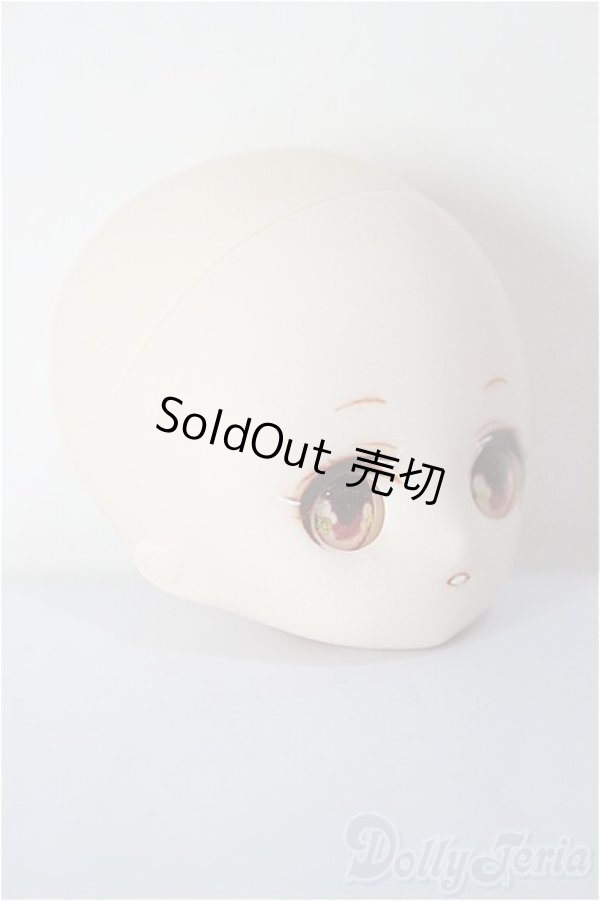 画像3: パラボックス/ヒカリ 着彩ヘッド/ A-25-12-24-371-NY-ZA (3)