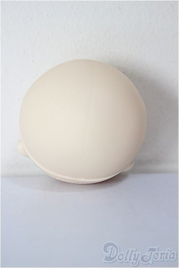 画像4: パラボックス/ヒカリ 着彩ヘッド/ A-25-12-24-371-NY-ZA (4)