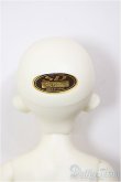 画像6: SDM女の子/コーディネートモデルF-48/BJD　球体関節人形 A-26-1-4-201-NY-ZA (6)
