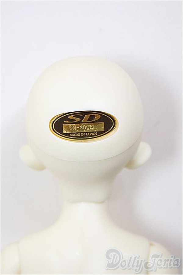 画像6: SDM女の子/コーディネートモデルF-48/BJD　球体関節人形 A-26-1-4-201-NY-ZA (6)