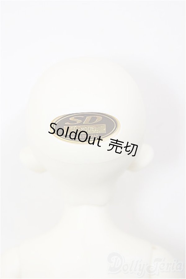 画像6: SDM女の子/コーディネートモデルF-48/BJD　球体関節人形 A-26-1-4-201-NY-ZA (6)