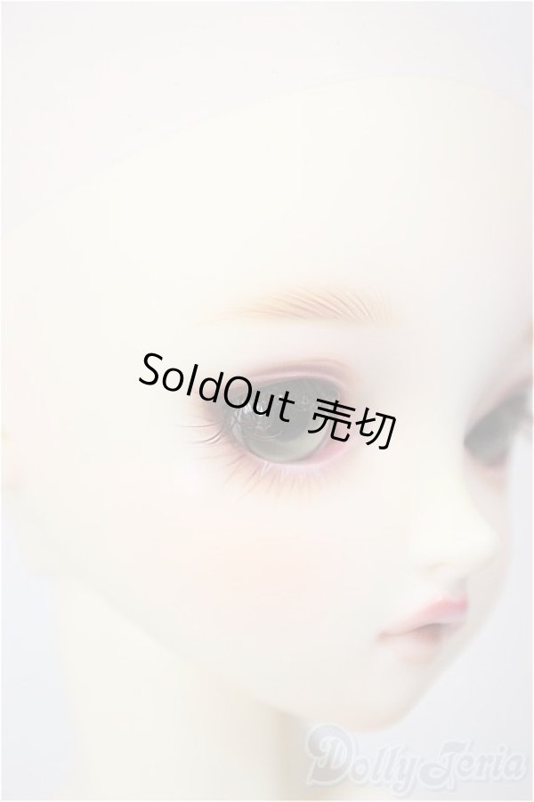 画像3: SDGr女の子/ルチア　アンティークスタイリスト Ver./BJD　球体関節人形 A-26-1-4-105-NY-ZA (3)