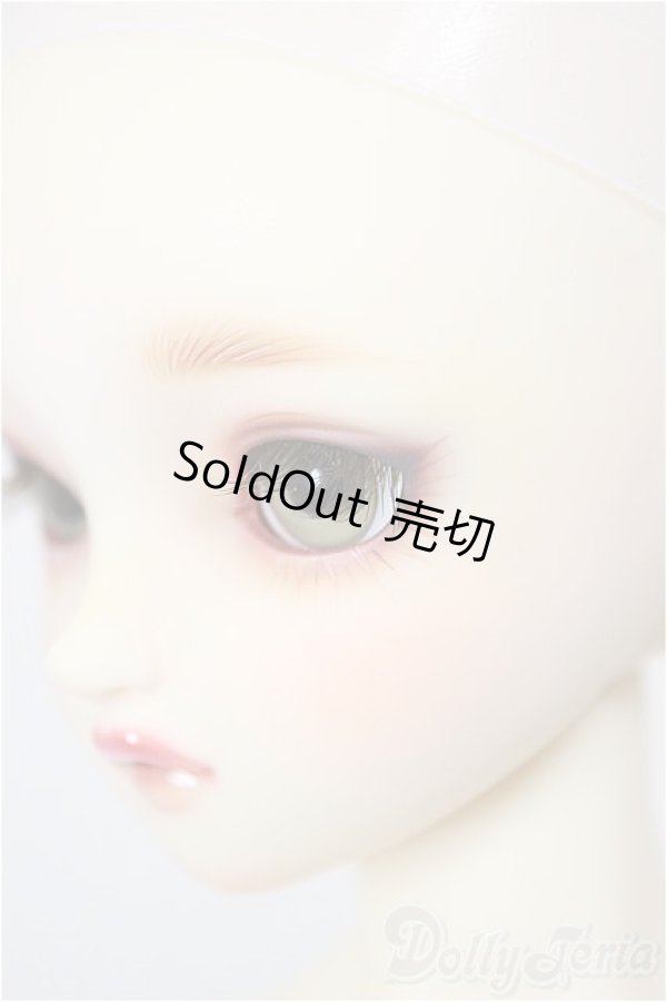 画像4: SDGr女の子/ルチア　アンティークスタイリスト Ver./BJD　球体関節人形 A-26-1-4-105-NY-ZA (4)