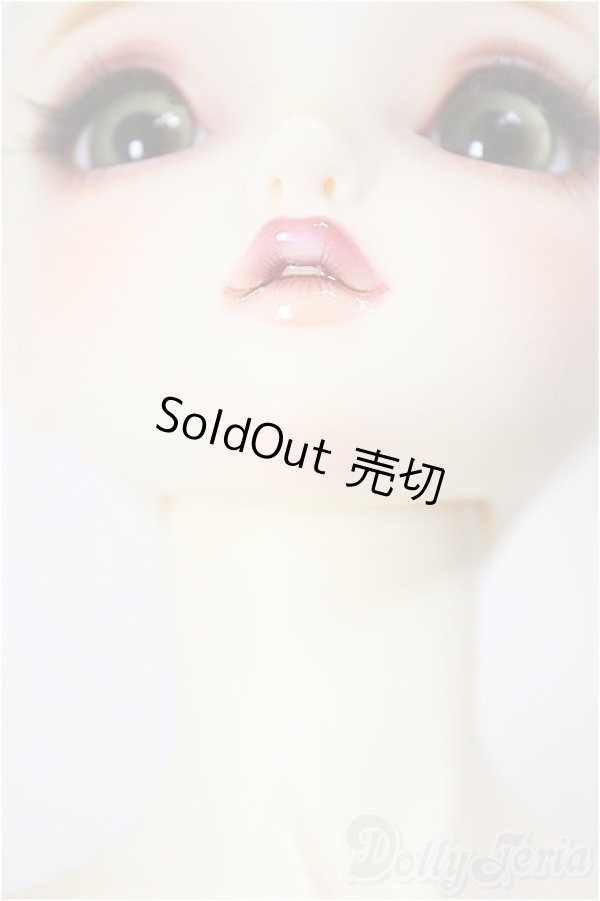 画像5: SDGr女の子/ルチア　アンティークスタイリスト Ver./BJD　球体関節人形 A-26-1-4-105-NY-ZA (5)