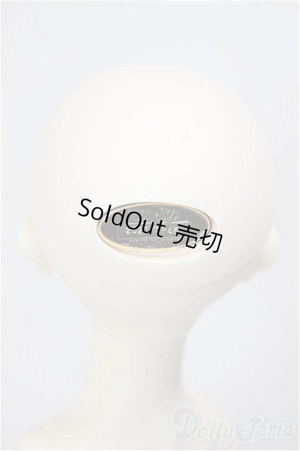 画像6: SDGr女の子/ルチア　アンティークスタイリスト Ver./BJD　球体関節人形 A-26-1-4-105-NY-ZA (6)