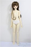 画像7: SDGr女の子/ルチア　アンティークスタイリスト Ver./BJD　球体関節人形 A-26-1-4-105-NY-ZA (7)